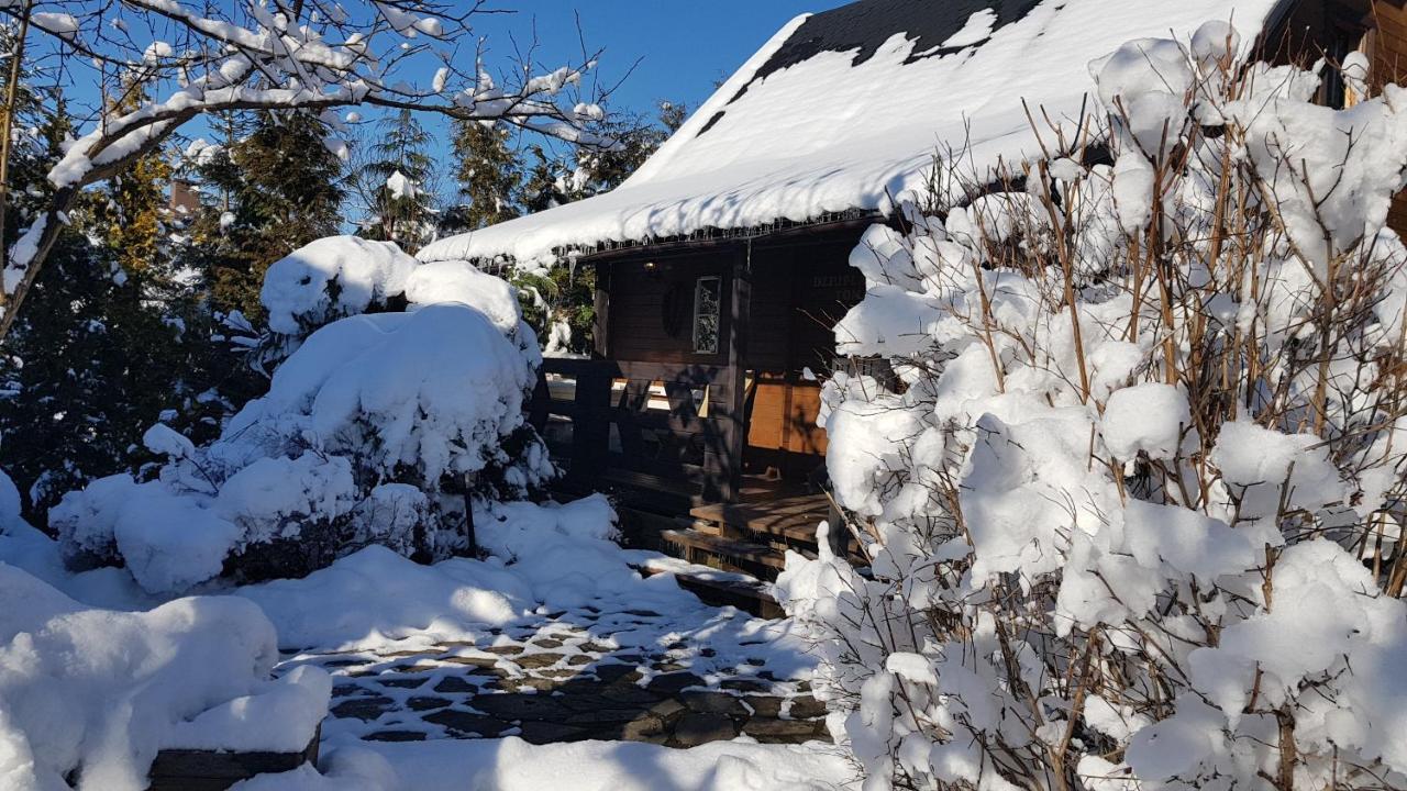 Chata Starych Znajomych سانوك المظهر الخارجي الصورة